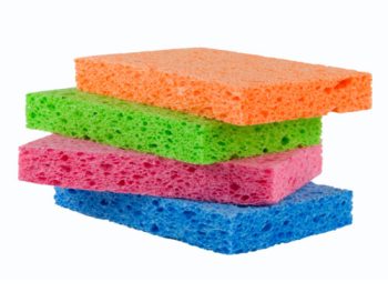 Disinfecting a kitchen sponge