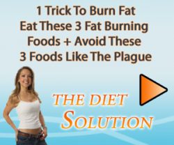 The Diet Solution Program The Diet Solution Program