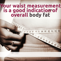 waist-measure