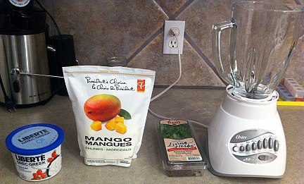 Mango Frozen Yogurt ingredients