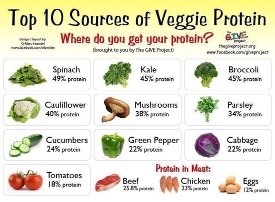 Guide To Becoming Vegetarian - Vegetable protein infographic