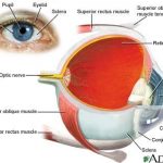 Tips for better eyesite