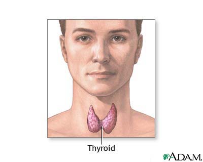 Natural thyroid storm treatments