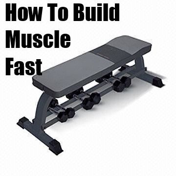 build muscle fast