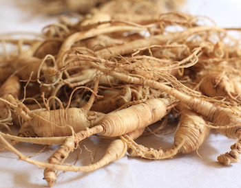 Ginseng herbs for anxiety
