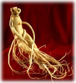 Ginseng for Gout