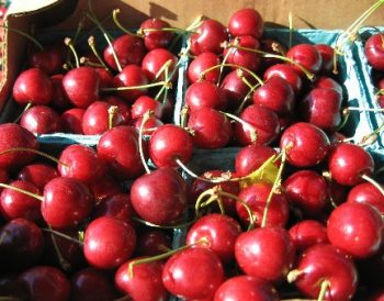 Red-Tart-Cherries