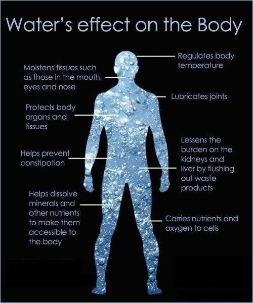 waters affect on the body